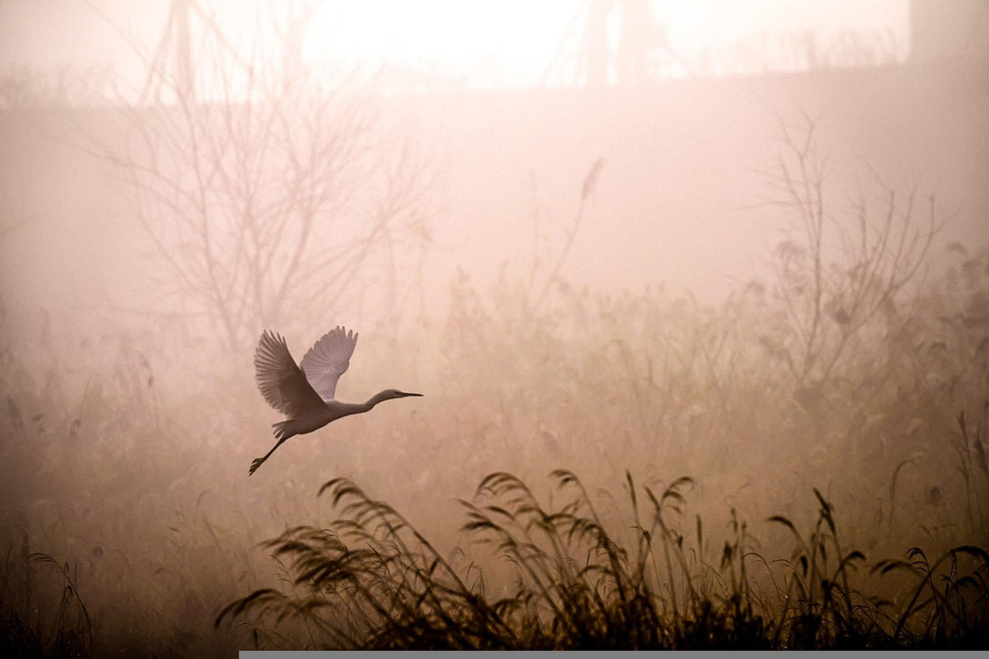 Begin Again: How to Start a Morning Meditation Practice (and Why Scent Makes It Stick)