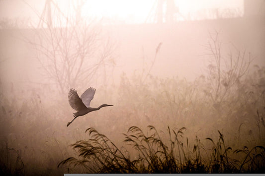 Begin Again: How to Start a Morning Meditation Practice (and Why Scent Makes It Stick)