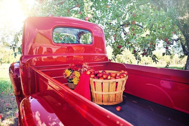 Harvest