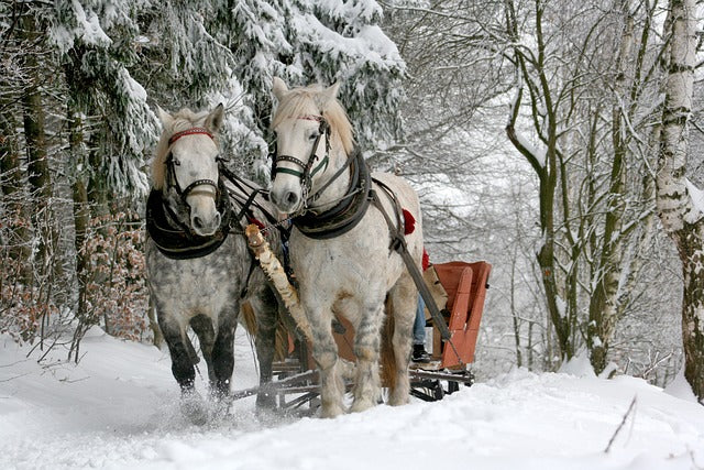 Sleigh Ride