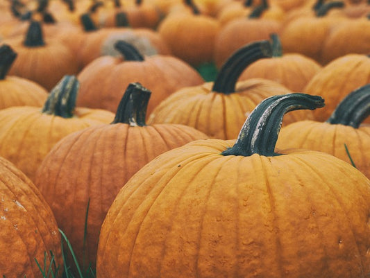 Small orange pumpkins with dark stems in a dense cluster