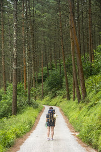 Forest Walk