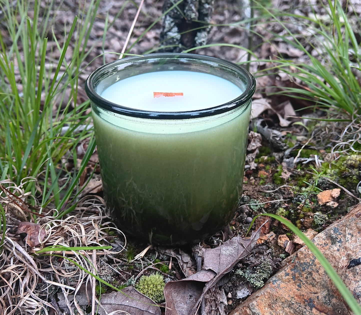 Ancient Grove Candle