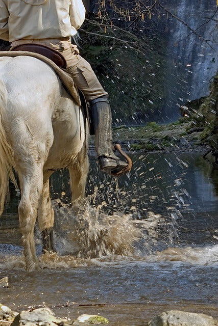 Horse beside water splash in rugged outdoor scene