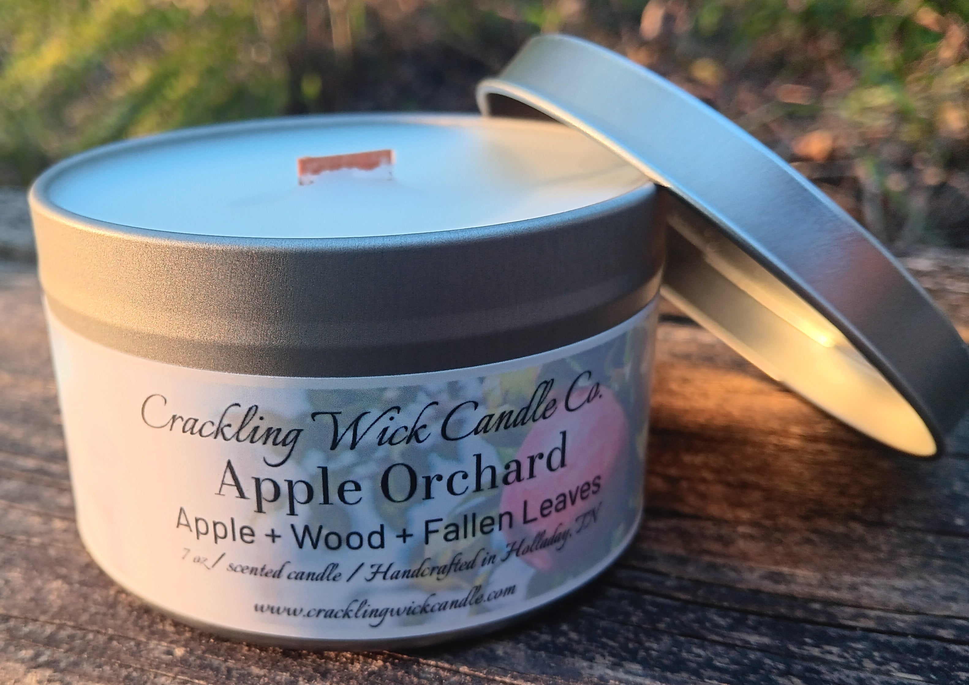 Apple Orchard