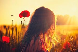 Spring Meadow